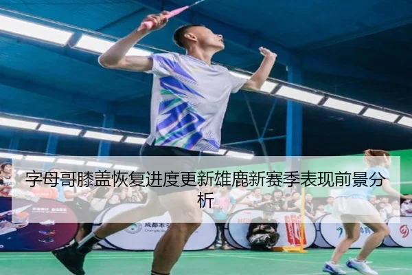 字母哥膝盖恢复进度更新雄鹿新赛季表现前景分析
