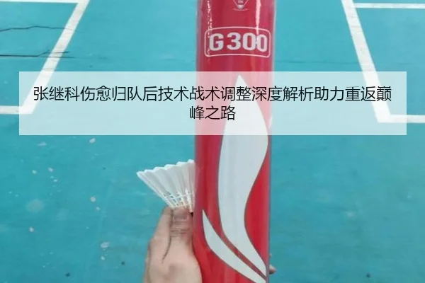 张继科伤愈归队后技术战术调整深度解析助力重返巅峰之路